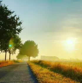 Contagious holiness