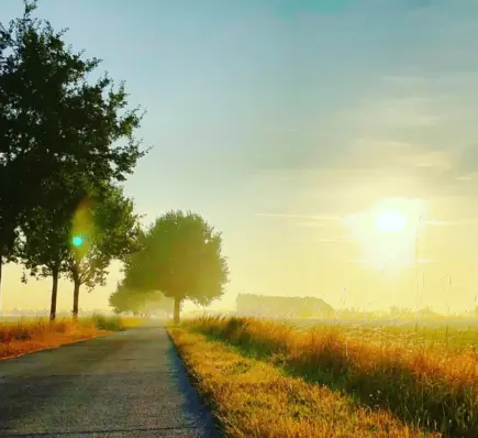 Contagious holiness