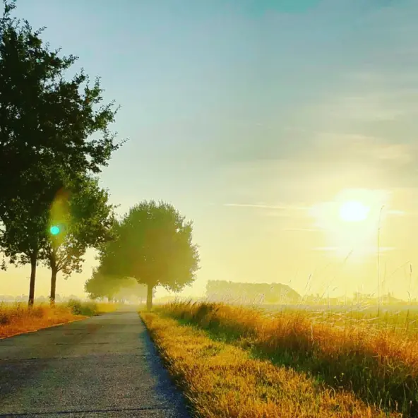 Contagious holiness