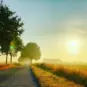 Contagious holiness